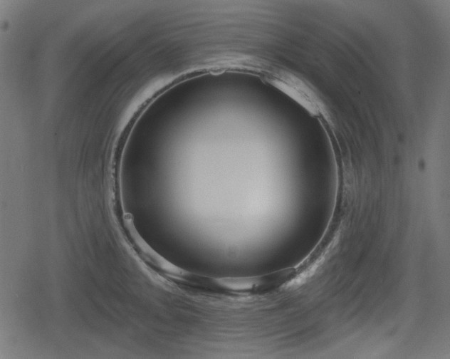 X0000078291093200611101102