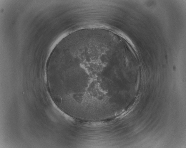 X0000078291095200611101102