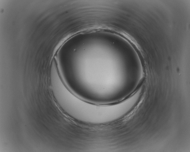 X0000078291097200611101102