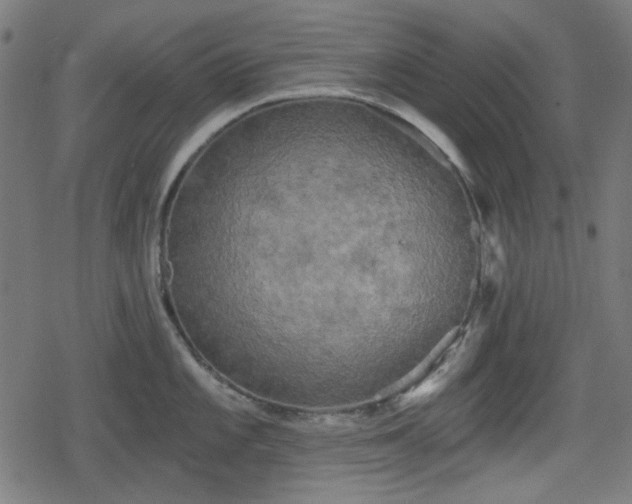 X0000078291101200611101102