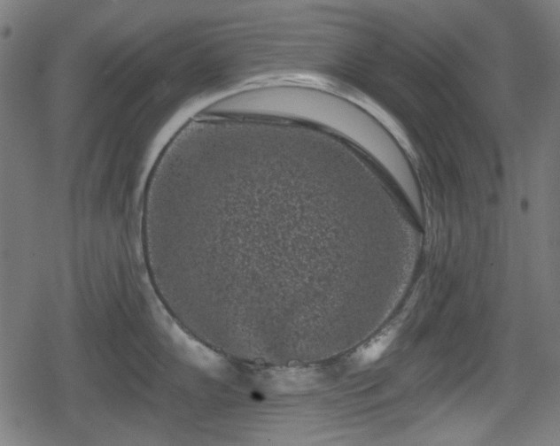 X0000078291102200611101102