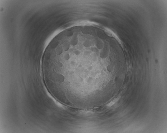 X0000078291103200611101102