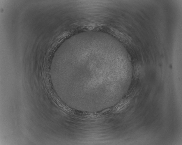 X0000078291105200611101101