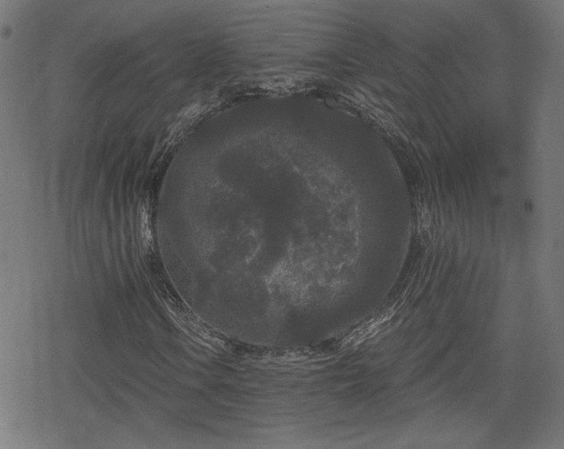 X0000078291106200611101101