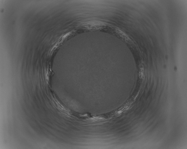 X0000078291108200611101101