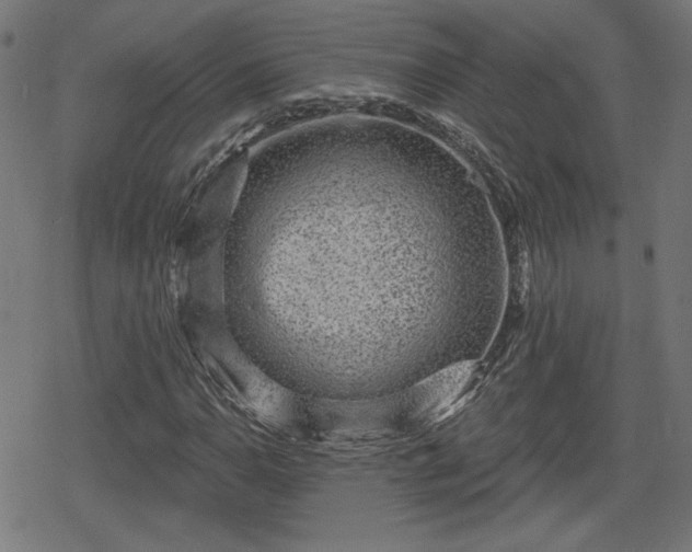 X0000078291110200611101101