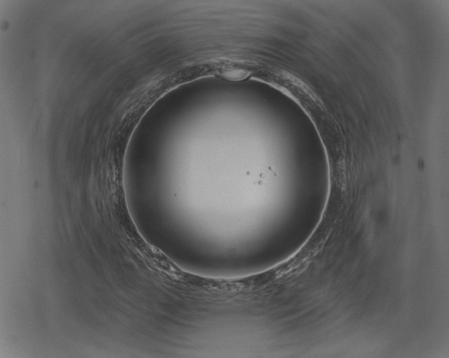 X0000078291111200611101101