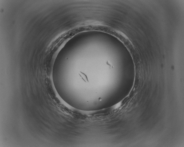 X0000078291112200611101101