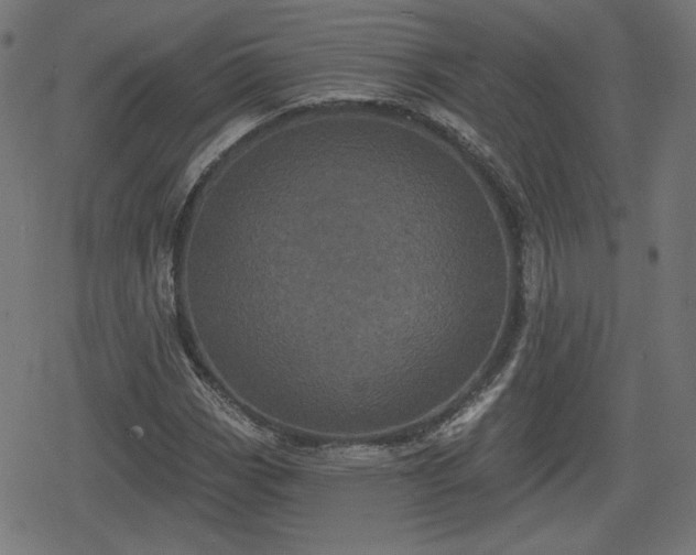 X0000078291113200611101101