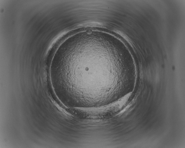 X0000078291115200611101101