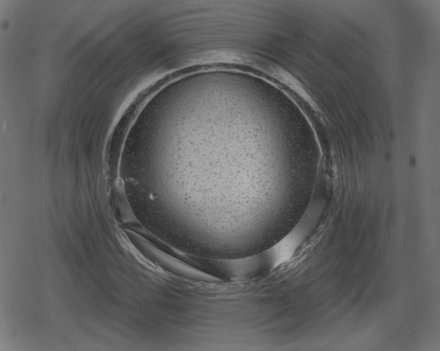 X0000078291116200611101101