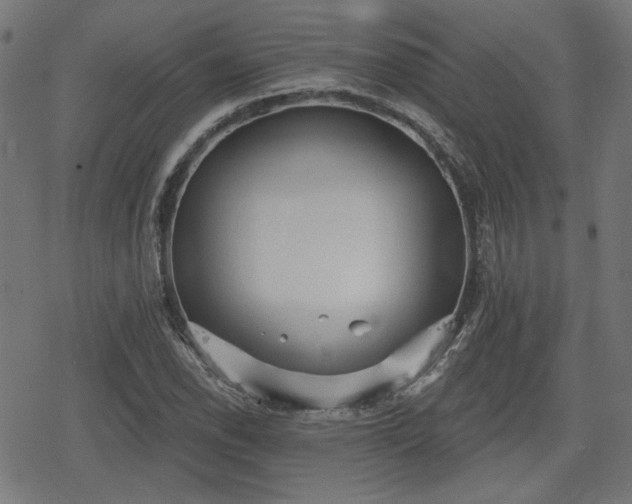 X0000078291118200611101101