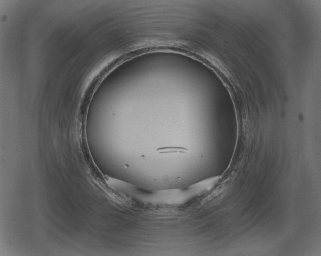 X0000078291119200611101101