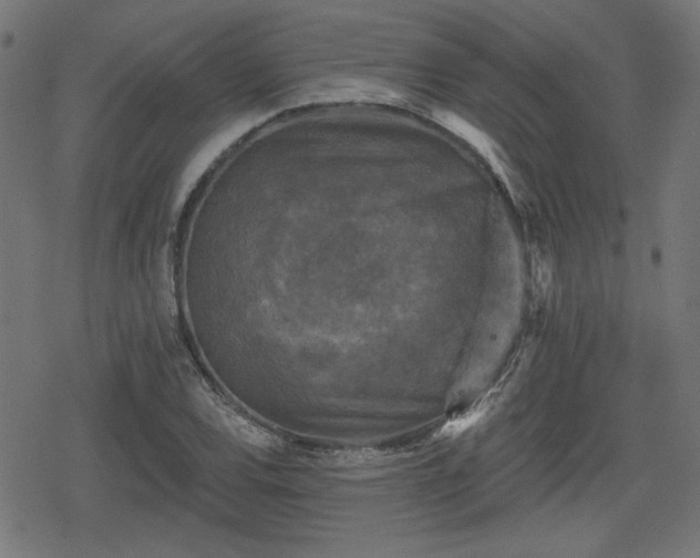 X0000078291120200611101101