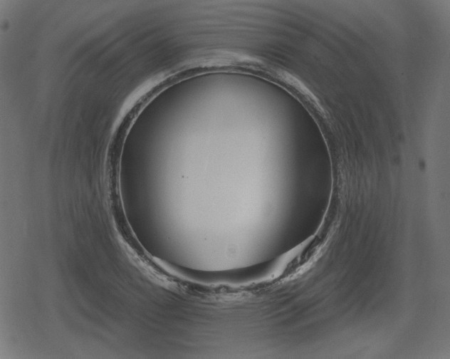 X0000078291122200611101101