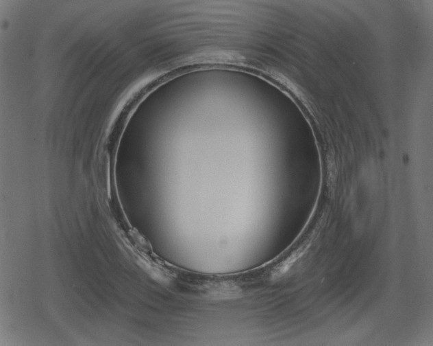 X0000078291123200611101101