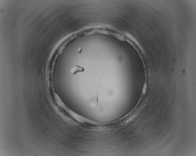 X0000078291124200611101101