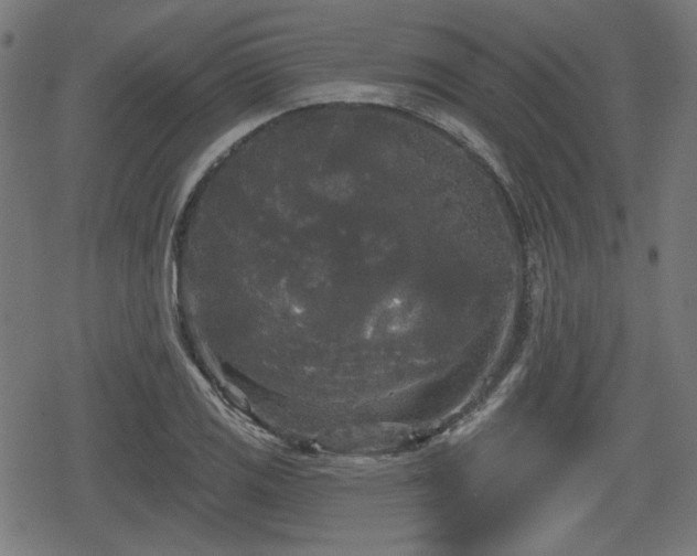 X0000078291125200611101101