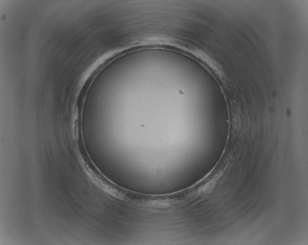 X0000078291126200611101101