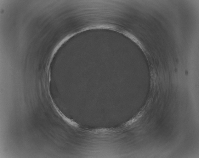 X0000078291127200611101101