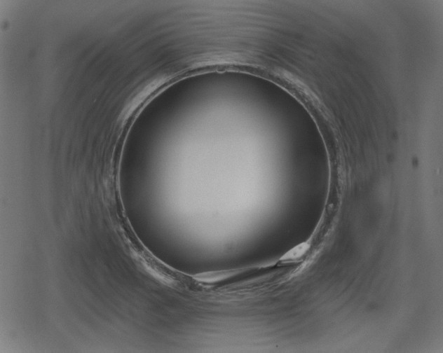 X0000078291129200611101101