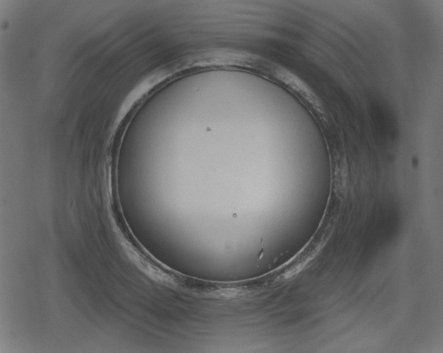 X0000078291130200611101101