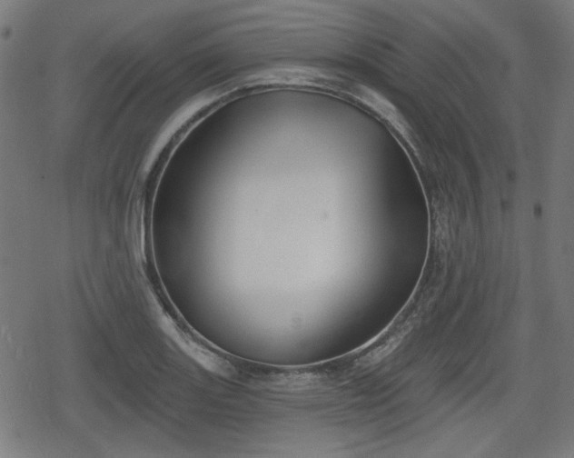 X0000078291131200611101101