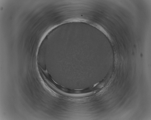 X0000078291132200611101101