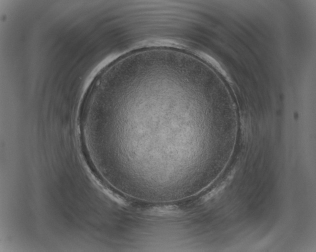 X0000078291133200611101101