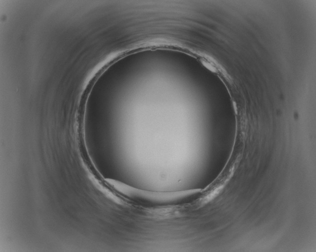 X0000078291134200611101101