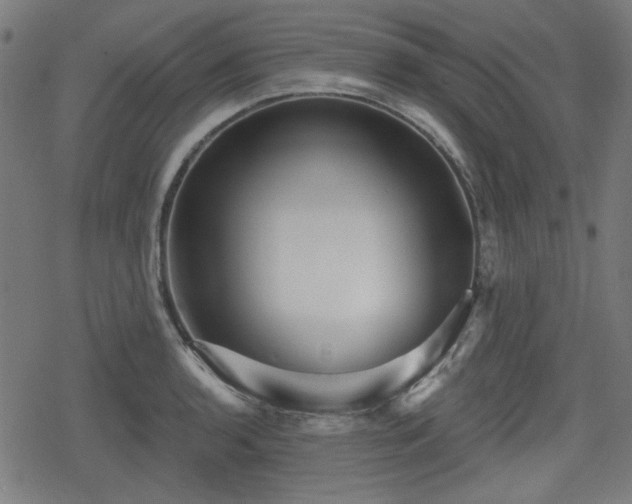 X0000078291136200611101102