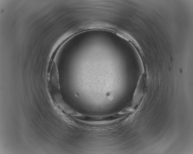 X0000078291138200611101102