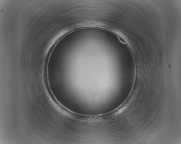 X0000078291139200611101102