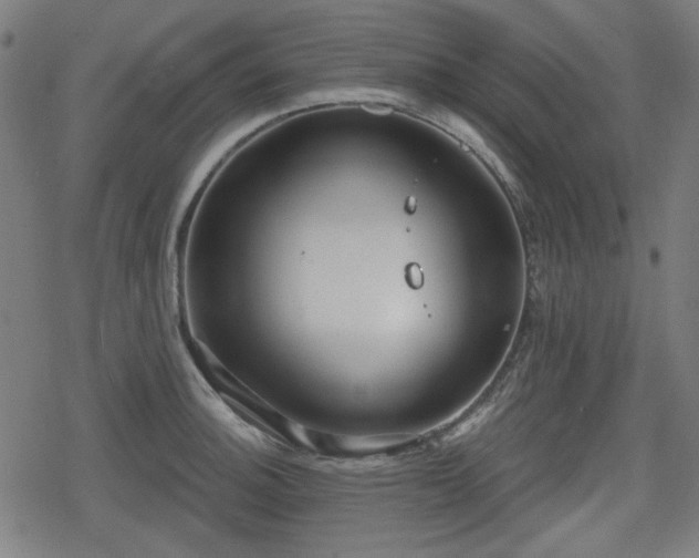 X0000078291140200611101102