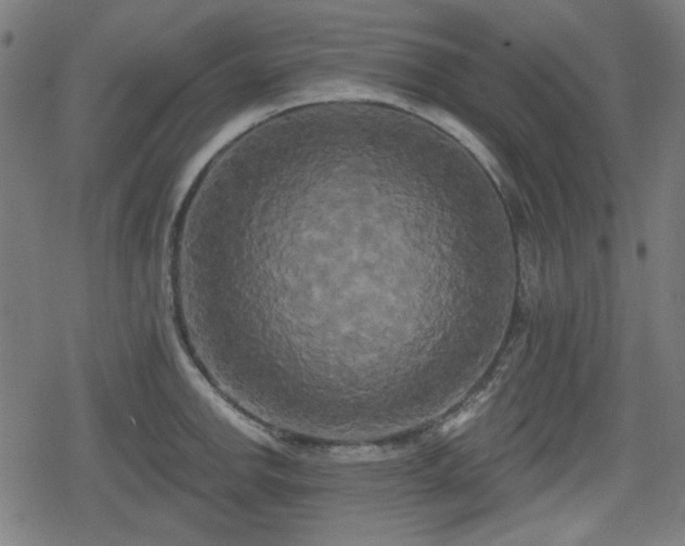 X0000078291142200611101102