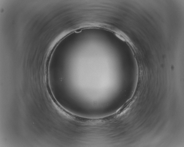 X0000078291143200611101102