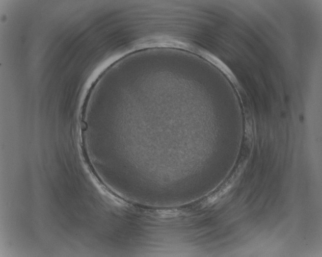 X0000078291144200611101102