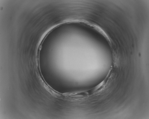 X0000078291148200611101102