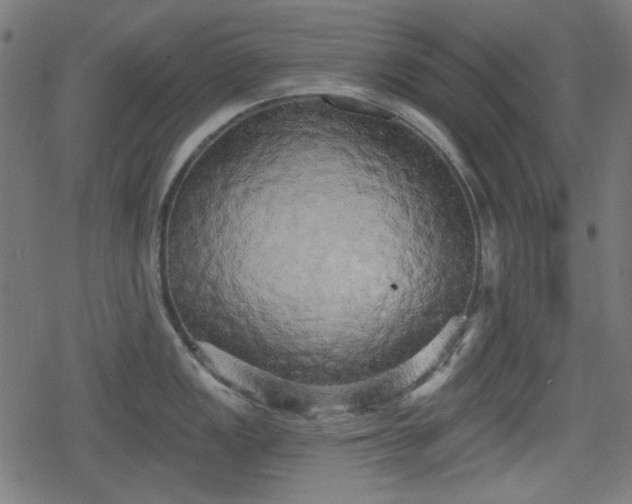 X0000078291149200611101102