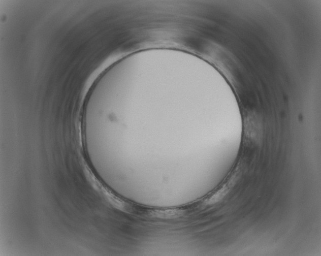 X0000078291150200611101102