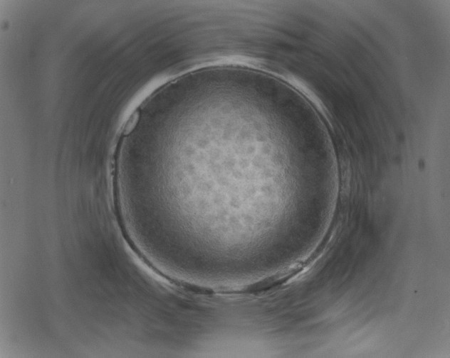 X0000078291151200611101102