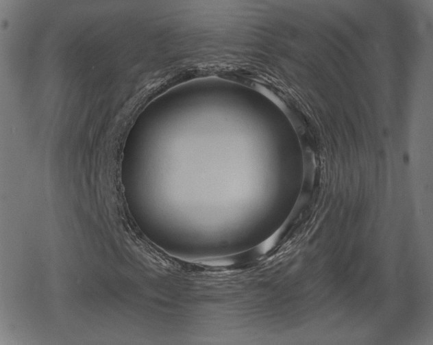 X0000078291153200611101101