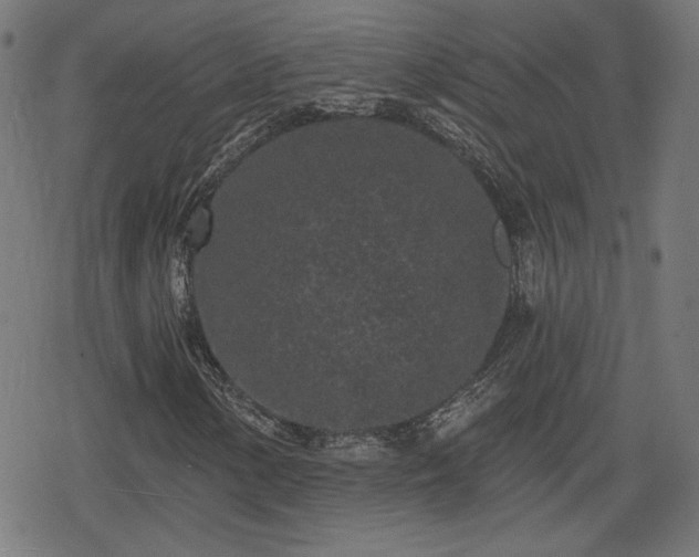 X0000078291154200611101101