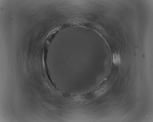 X0000078291155200611101101