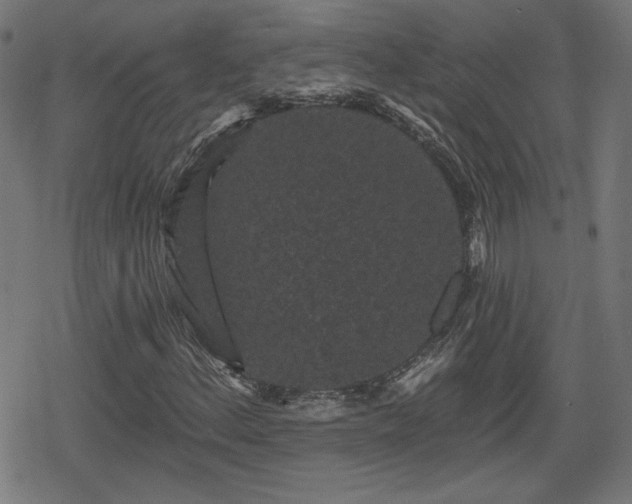 X0000078291156200611101101