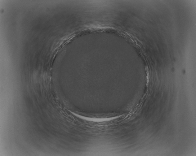 X0000078291157200611101101