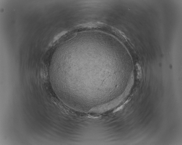 X0000078291158200611101101