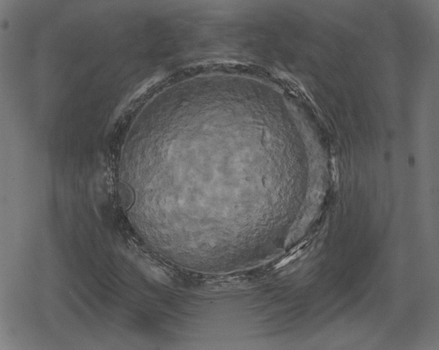 X0000078291159200611101101