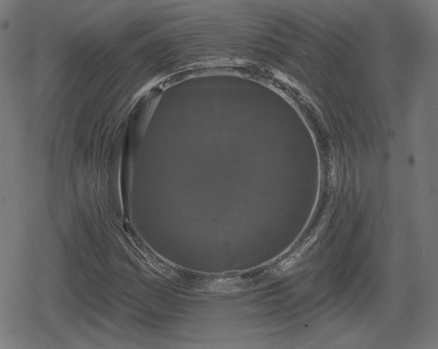 X0000078291161200611101101