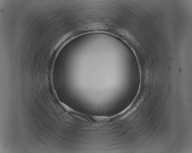 X0000078291162200611101101